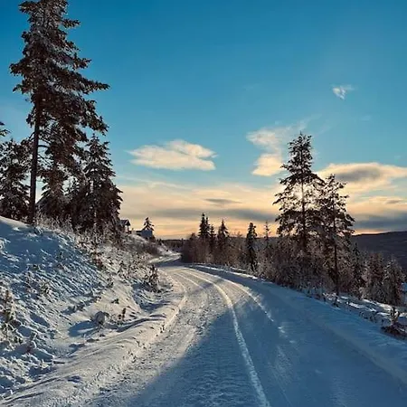 Skihytte I Alpehytte *