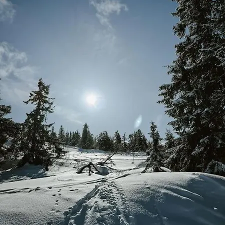 Skihytte I * Trysil