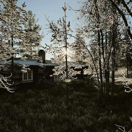Alpehytte Skihytte I Trysil